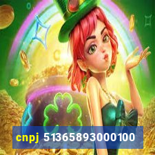 cnpj 51365893000100